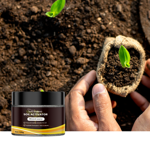 Yegbong 120g, Sal Aceleradora del Crecimiento de Plantas, Reductora de Concentración Mineral, Activador de Suelo - Product Image 4