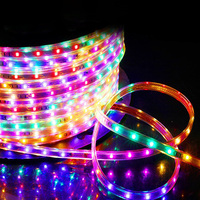 Tira de Luces LED RGB, 48 LED/m, Cambio de Color, Impermeable, Luz de Neón Flexible, Cinta de Luz para Exteriores y Paisajismo