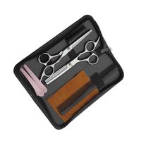 Kit de coupe de cheveux personnalisé en acier inoxydable argenté Ensemble de rasoir pour coiffeur ciseaux amincissants pour salon de beauté et de coiffure