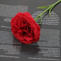 Fleur d'œillet éternelle préservée faite à la main, longue durée, pour cadeau de Fête des Mères, décoration intérieure, style moderne