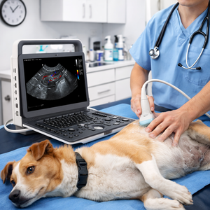 VET 휴대용 3D 4D 컬러 도플러 초음파 진단기 말 초음파 수의학 초음파 스캐너 - Product Image 2