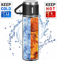 Ensemble cadeau de tasse thermique en acier inoxydable 304 à double paroi de 500 ml, gourde isotherme portable, tasse à thé, bouteille d'eau, tasse thermostatique