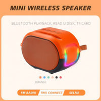 Petit haut-parleur Bluetooth portable, système de sonorisation Bluetooth pour extérieur, multicolore