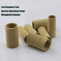 Élément filtrant en poudre de cuivre fritté 11,5*9,5*30 pour protéger la sonde de température et d'humidité