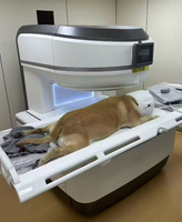Équipement vétérinaire EURVET, scanner IRM intelligent, aimant permanent N52 pour diagnostic multi-sites des animaux