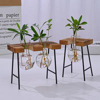 Conteneur hydroponique créatif pour philodendron - Décoration d'intérieur en verre - Ensemble de petits vases à fleurs pour bureau