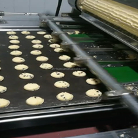Machine à biscuits à prix d'usine Ligne de production automatique de biscuits en fil métallique Machine automatique de fabrication de biscuits