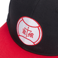 Gorra trucker snapback personalizada de 6 paneles estructurada con parche bordado y visera plana para fabricantes de gorras al por mayor