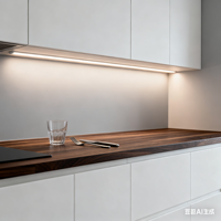 Lampu Kabinet Dapur LED Modern 12V/24V Pemasangan Tersembunyi Dapat Diredupkan 6000K Cahaya Siang Kontrol Sentuh Kap Lampu Kaca Buram Lemari