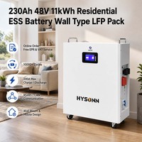 Batterie murale Hysonn 230Ah 48V 11kWh ESS résidentielle, pack LFP pour projets solaires à consommation autonome et commandes de distributeurs