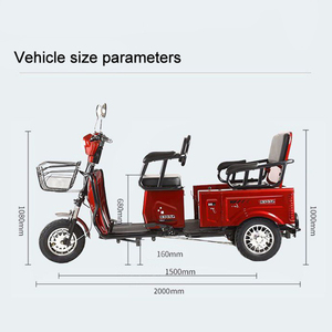 Nuevo Triciclo Eléctrico de Alta Velocidad 2025, Producción de Fábrica, 600w, Dudu, Motocicleta Eléctrica de <span class=keywords><strong>3</strong></span> <span class=keywords><strong>Ruedas</strong></span> - Product Image 5