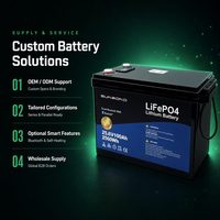 Baterai Lithium LFP 25.6V 100Ah 24V Siklus Dalam untuk Penyimpanan Energi, Sistem Surya RV, Distributor Daya Traksi Kelautan