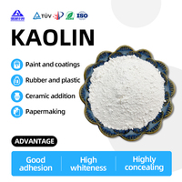 Poudre d'argile kaolin naturelle pour la céramique, le revêtement du papier, la peinture et les matériaux de construction