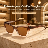 Lunettes de soleil œil de chat pour femmes, monture épaisse rétro angulaire, verres CP, protection UV400, style Y2K vintage, vente en gros OEM ODM