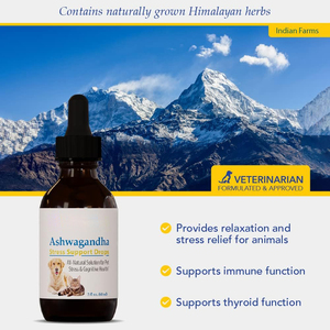 Gouttes calmantes <span class=keywords><strong>pour</strong></span> animaux de compagnie <span class=keywords><strong>pour</strong></span> chats et chiens Ingrédients naturels à base de plantes Absorption rapide Vente en gros personnalisée - Product Image 4