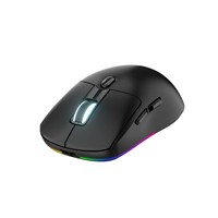 Souris de jeu sans fil ergonomique légère avec rétroéclairage optique RGB LED, 7 boutons, USB/Type-C, pour droitier, rechargeable, en stock