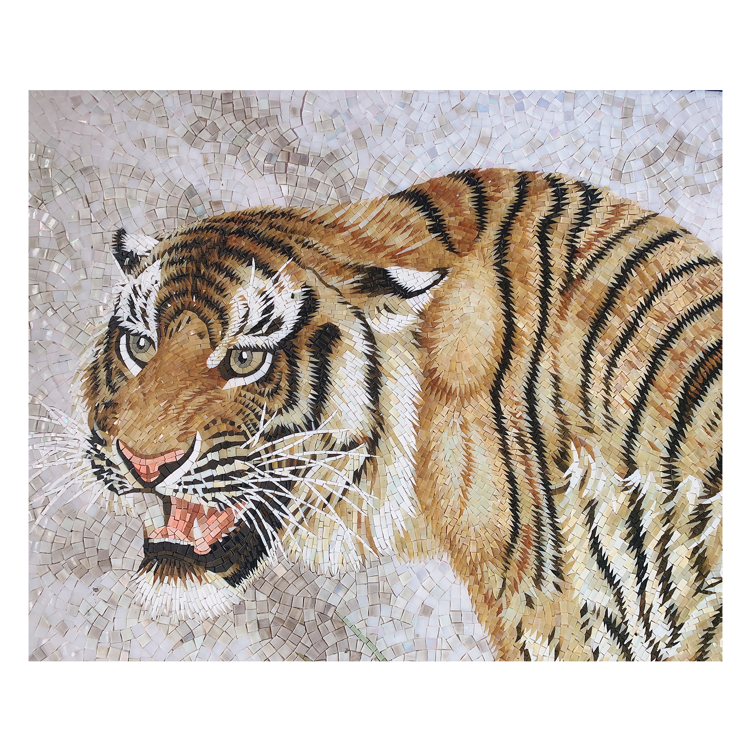 A-Tiger-D