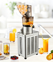 Hete verkoop automatische commerciële fruitpersmachine 300W-1200W voor appel, sinaasappel en peer sap, voor detailhandel