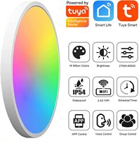 Plafonnier led intelligent Tuya, design moderne, luminaire de plafond, avec télécommande, application WIFI, idéal pour le camping