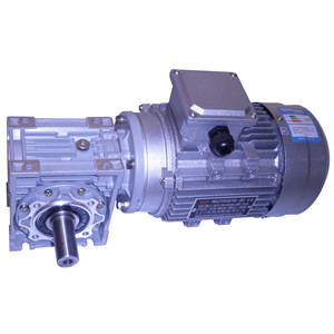Beiji Brand Single Phase AC Motor High Efficiency Aluminum <b>Worm</b> Gearbox Reducer 1 ODM Customizable Machine Tool 20:1 Small Gearb - Product Image 1
