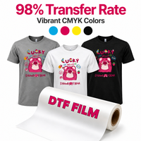 Rouleau de film de transfert DTF PET du fabricant professionnel pour imprimante à encre DTF pour l'impression par transfert de vêtements