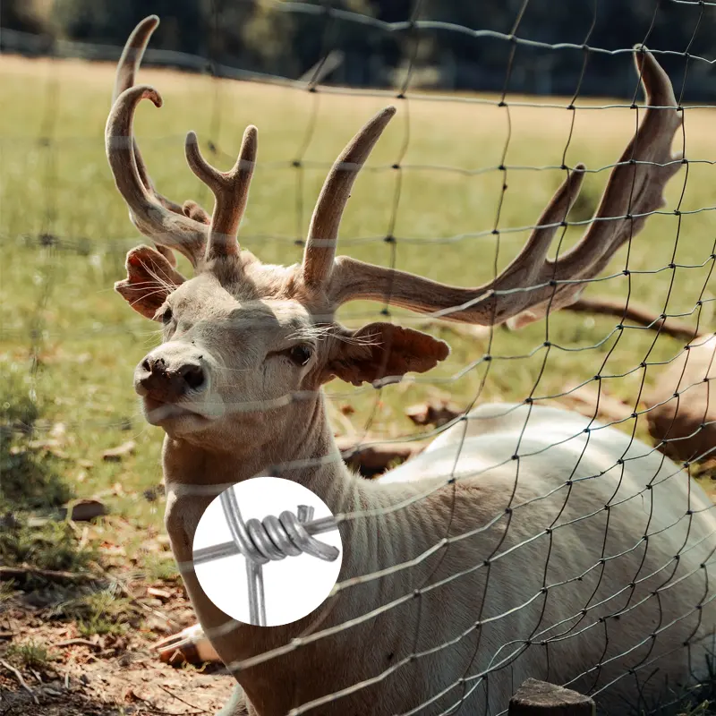 Barrière en acier galvanisée à faible entretien pour animaux, bétail, moutons, cerfs et autres animaux d'élevage dans les champs