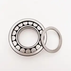 Full Complement Cylindrical Roller Bearing F-201346.02.NUP 50*90*23mm F-201346 Hydraulic Pump Bearing