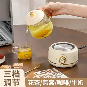 Hervidor Eléctrico Mighty de 600 ml, Olla de Vidrio Saludable, Apagado Automático, Protección Contra Ebullición en Seco, Para Preparar Té - Product Image 5