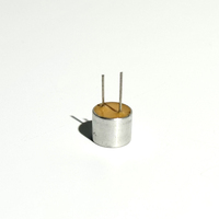 Sonde piézoélectrique ultrasonique étanche SWT 10 mm 40 kHz, puce transducteur piézo passif pour pièces électroniques automobiles et industrielles