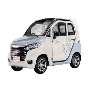 EEC 60V 3000Wリチウム電池工場直販大人用小型電気自動車障害者向け人気商品2023