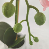 Plante d'orchidée artificielle en pot, toucher réel, haute qualité, écologique, vente en gros, meilleur prix, très demandée pour Thanksgiving et mariages