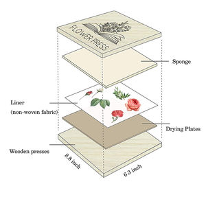 Kit de prensado de flores para principiantes, prensa de <span class=keywords><strong>hojas</strong></span> y plantas de <span class=keywords><strong>tilo</strong></span>, profesional, 6 "x 9" - Product Image 6