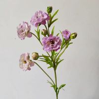 Bunga Buatan Desain Baru 72CM, Sentuhan Asli Lateks, Ranunculus Kupu-kupu untuk Dekorasi Pernikahan dan Rumah