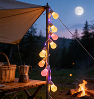 Guirlandes lumineuses solaires LED de Noël connectables avec ampoules à motifs plumeux, longueur totale 8 mètres