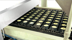 Vaporizador de túnel transportador automático para pastel al vapor - Product Image 4