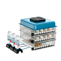 Incubateur domestique mini automatique intelligent à double alimentation pour 36 œufs – Offre d'usine à prix abordable