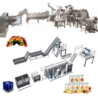 Kwalitatief hoogwaardige en energiezuinige sapcentrifuge met stabiele prestaties, multifunctioneel en van roestvrij staal, geschikt voor diverse soorten fruit.