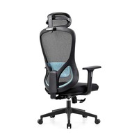 Chaises de bureau ergonomiques de luxe pour ordinateur, avec support lombaire, en maille respirante, pivotantes, pour cadres