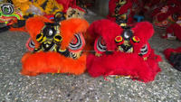 Efun Costume de danse du lion pour deux personnes fabriqué à la main par une usine de danse du lion chinoise Taille normale reflétant la riche culture chinoise