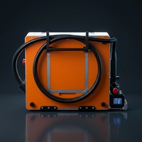 Laser portable 500W pour le décapage de revêtements sur les murs en béton, les sculptures en pierre, les murs en briques, les sols en marbre