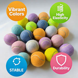 Özelleştirilmiş LOGO Yüksek Kalite Yüksek Esneklik Tenis Antrenman Padel Topları Etkileşimli Köpek Oyuncak Topu Spor Eğlencesi İçin - Product Image 5