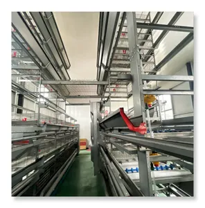2024 hot sale automatic Chicken Cage For 50000 Birds Chicken cage poultry farm equipment