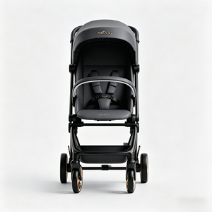 Passeggino Leggero in Lega di Alluminio EN 1888 con Capacità di Carico di 15kg, Facile da Piegare, Portatile, per Bambini da 0 a 3 Anni - Product Image 4