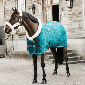 High Quality Polycotton Velvet Fabric Winter Horse Stable Rug Polyester Lining Customizable Sizes Assorted Colors Available - Product Image 4