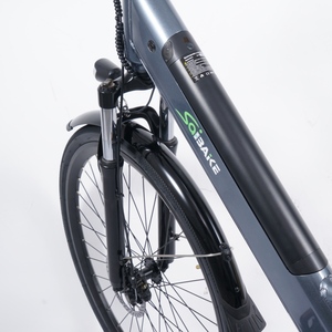 Bicicletta Elettrica da Donna <span class=keywords><strong>28</strong></span> Pollici, Batteria al Litio 36V 10.4Ah 250W, 7 Velocità, Telaio in Lega di Alluminio, Pedalata Assistita Elettronica, 2 Posti - Product Image 4