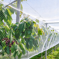 Filet anti-oiseaux en maille diamantée robuste pour la protection des légumes, des fraises, des raisins, du riz, du maïs, des tournesols, des vignes et des vignobles - Vente en gros