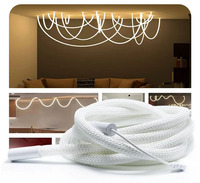 Vente chaude 360 Degrés Circulaire Maille Néon LED Bande Lumineuse Intelligente RGBIC Flexible Silicium Rêve Couleur Corde Bande Lumineuse DC5V WS2812B