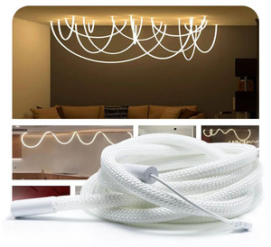 Vente chaude 360 Degrés <span class=keywords><strong>Circulaire</strong></span> Maille Néon <span class=keywords><strong>LED</strong></span> Bande Lumineuse Intelligente RGBIC Flexible Silicium Rêve Couleur Corde Bande Lumineuse DC5V WS2812B - Product Image 6