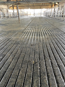 Nouveaux tapis en caoutchouc à motifs pour <span class=keywords><strong>vaches</strong></span>, protection du sol <span class=keywords><strong>des</strong></span> foyers et <span class=keywords><strong>des</strong></span> fumiers, revêtement de sol en caoutchouc pour fermes laitières - Product Image 3