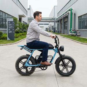 Hoogwaardige, klaar voor gebruik in de stad, elektrische fiets met hoge dekking, 48V 16Ah accu, utiliteitsfiets voor fabriekbezoekers en tourroutes. - Product Image 3